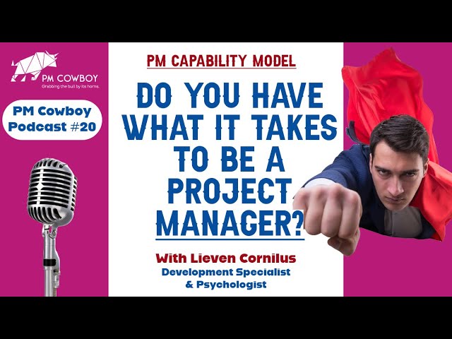 P20: Project Management Based Capability Assessment Models