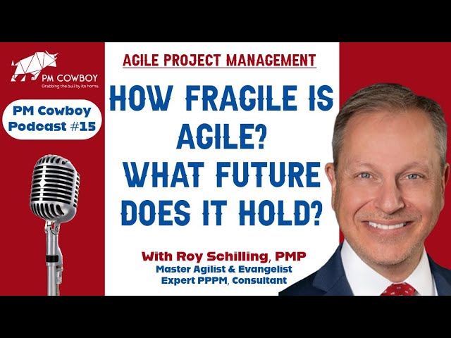 P15: How Fragile is Agile - What's the State of Agile today?